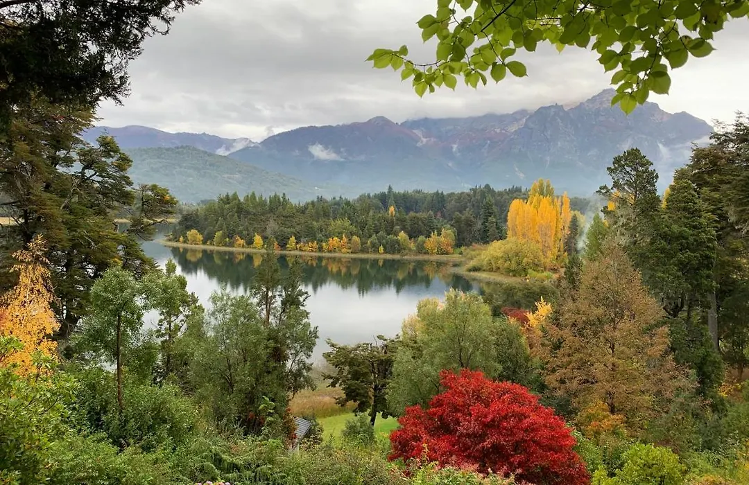 Bellevue-1