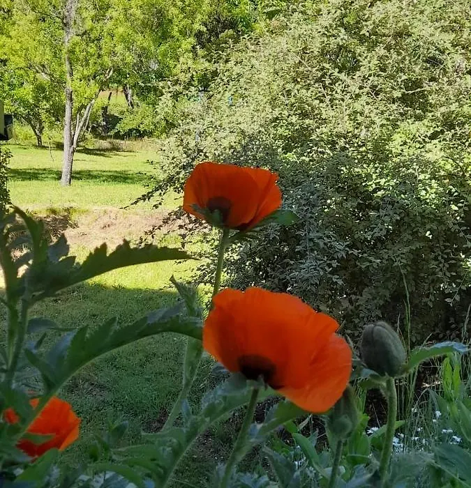 Un Espacio Comodo Comodo-1