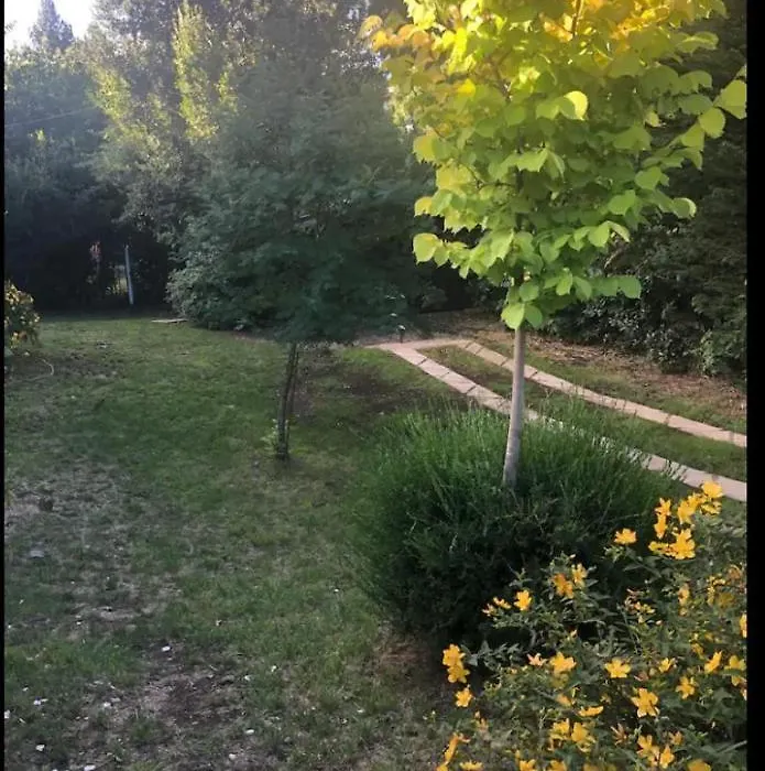 Un Buen Lugar - Paradaise 1-1