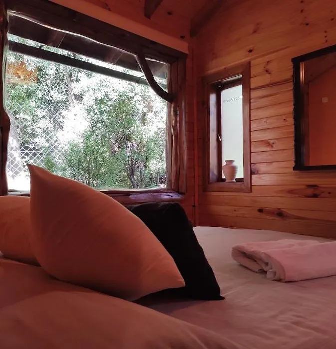 Cabana En Bosque Nativo-1