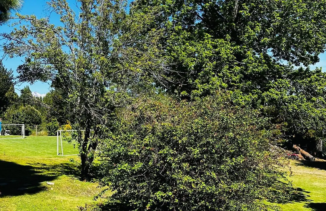 Casa En Bariloche Familiar - R2046-1