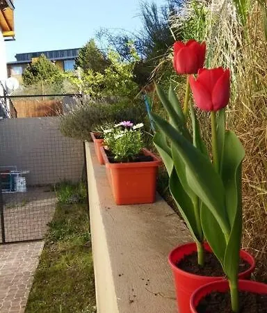 Hermoso Departamento En Las Victorias, Bariloche-2