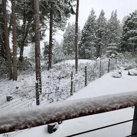Patagonia Y Nieve-3
