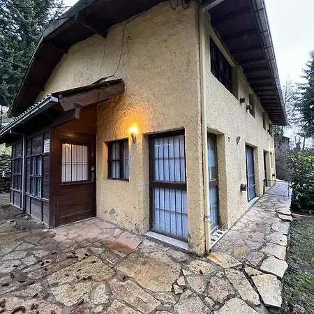 Ivy Bariloche-3