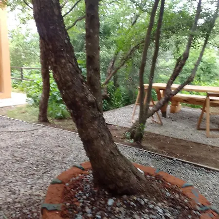 Departamentos Campepilus-2