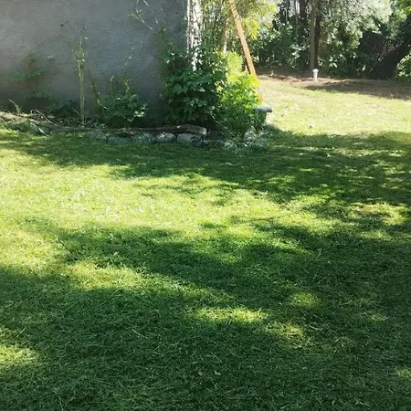 Casa Lobo Hostel-2