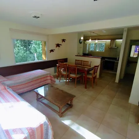 Blue Bird Flat-2