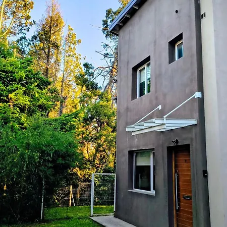 Blue Bird Flat-3