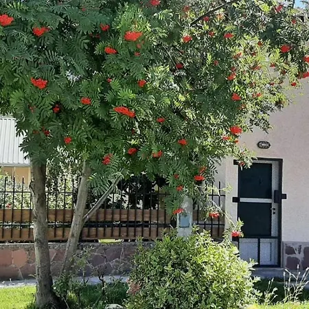 CHOCHO - Cálida casita céntrica hasta 4 pax-3