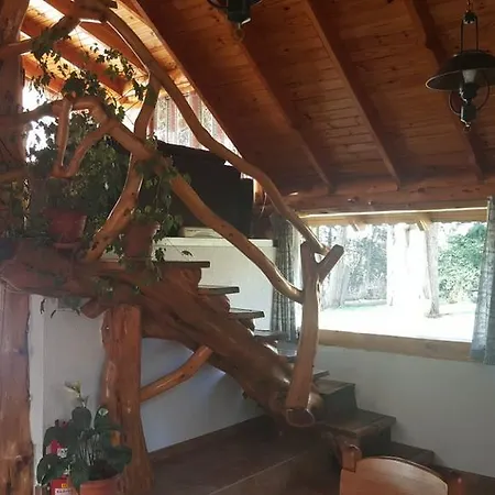 Cabana Tibor-3