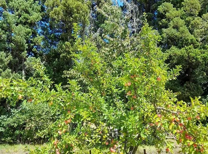 Un Espacio Comodo Comodo San Carlos de Bariloche