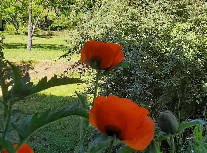 Un Espacio Comodo Comodo San Carlos de Bariloche