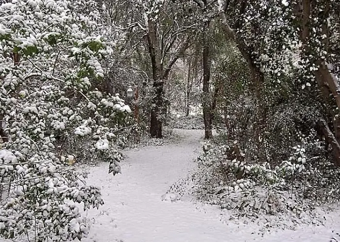 De Las Rosas Bariloche